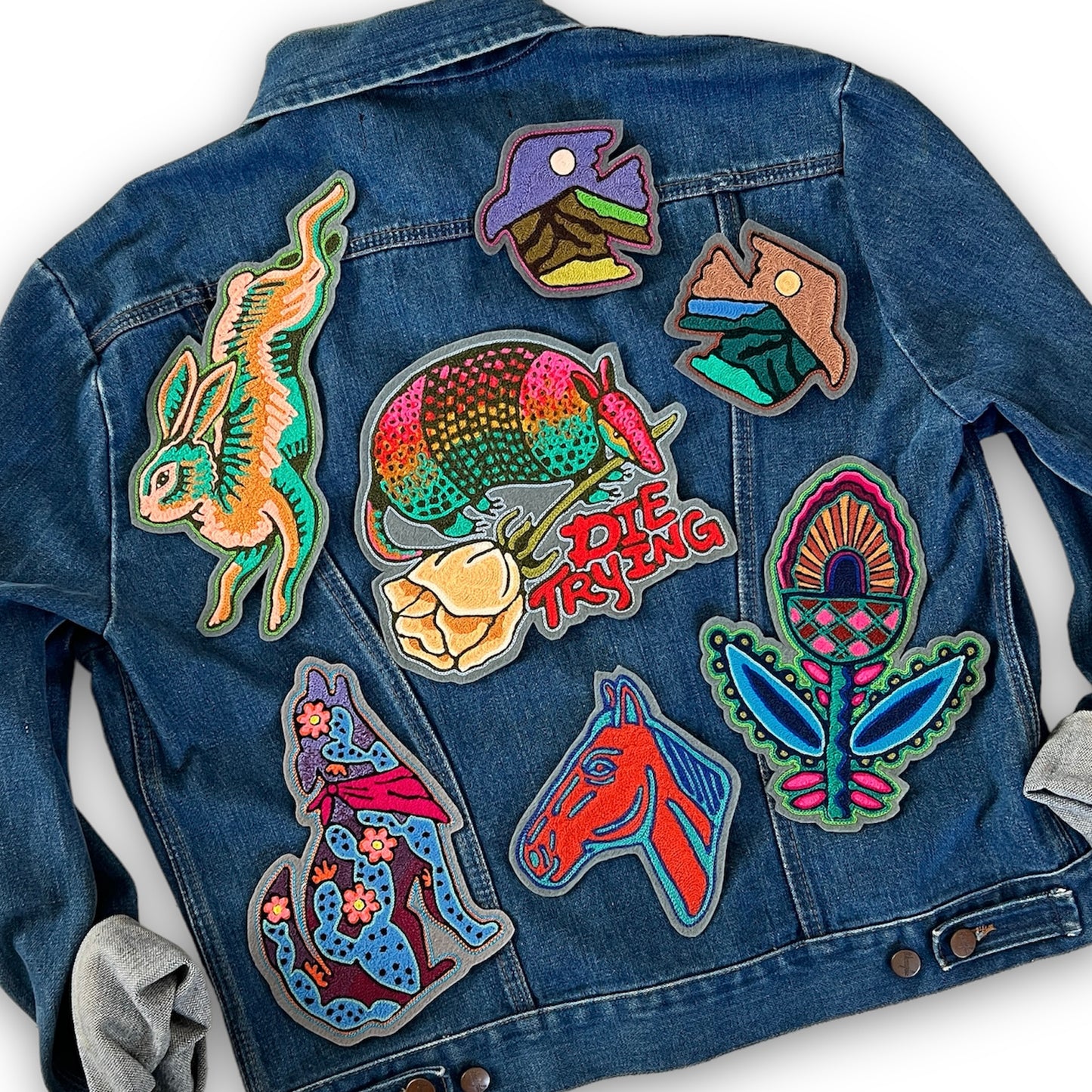 Cactus Coyote Patch