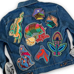 Cactus Coyote Patch
