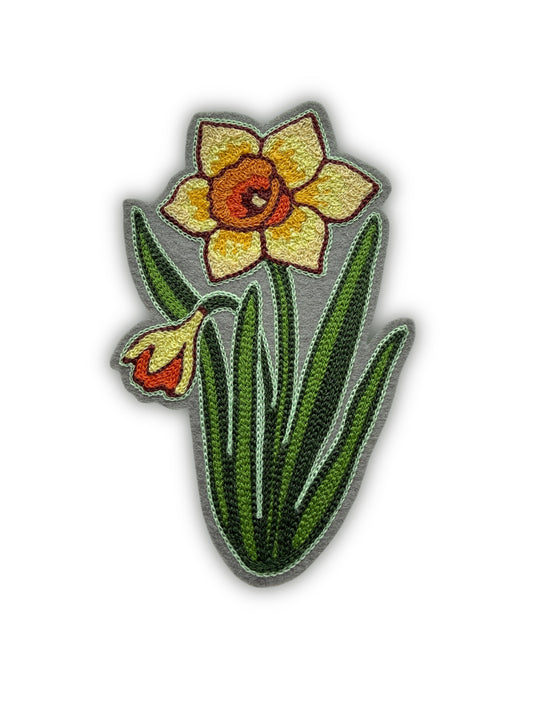 Daffodil Patch