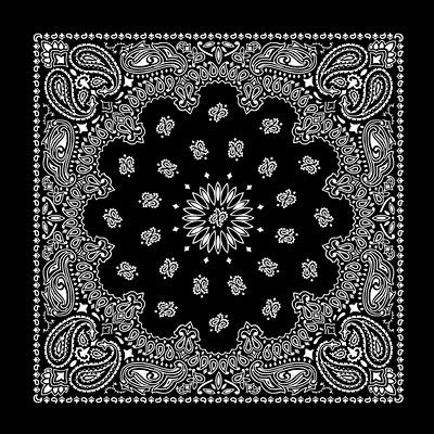 Paisley Bandanas