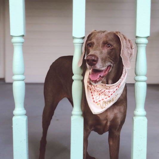 Atlas Bandana Natural