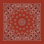 Paisley Bandanas