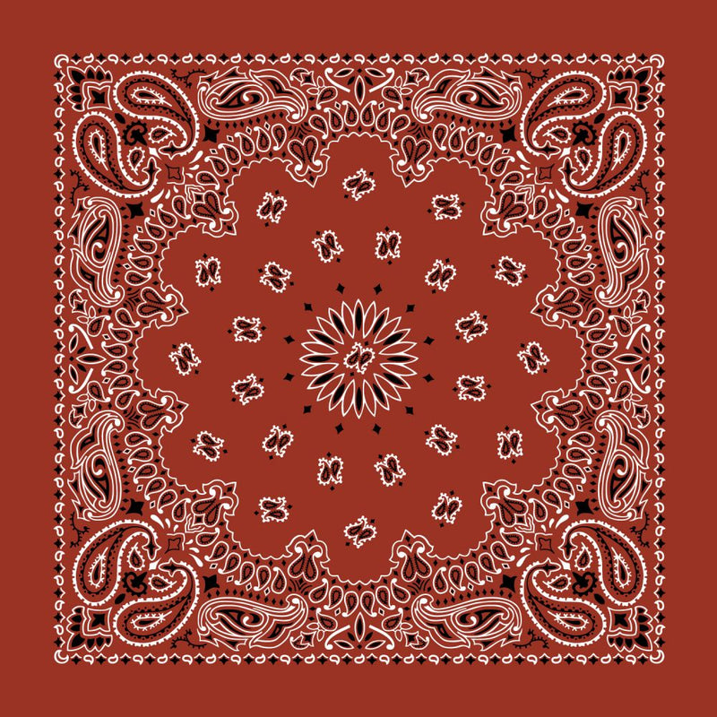 Paisley Bandanas