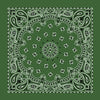 Paisley Bandanas