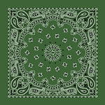 Paisley Bandanas