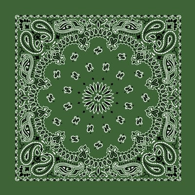 Paisley Bandanas
