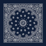 Paisley Bandanas